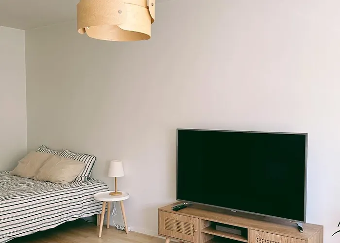 Cozy Central Flat Next To Tram And Bus Stations